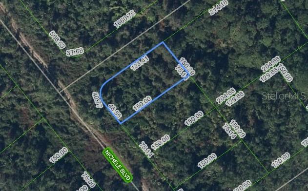 Photo of 457 Nichele Boulevard, Lake Placid, FL 33852 (MLS # P4939675)