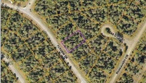 PORT CHARLOTTE SUB 46 - Land