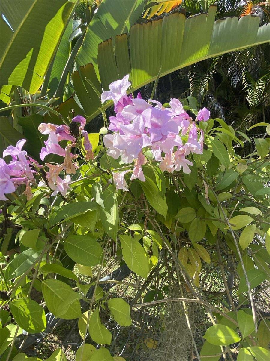 S CLEVELAND - Residential