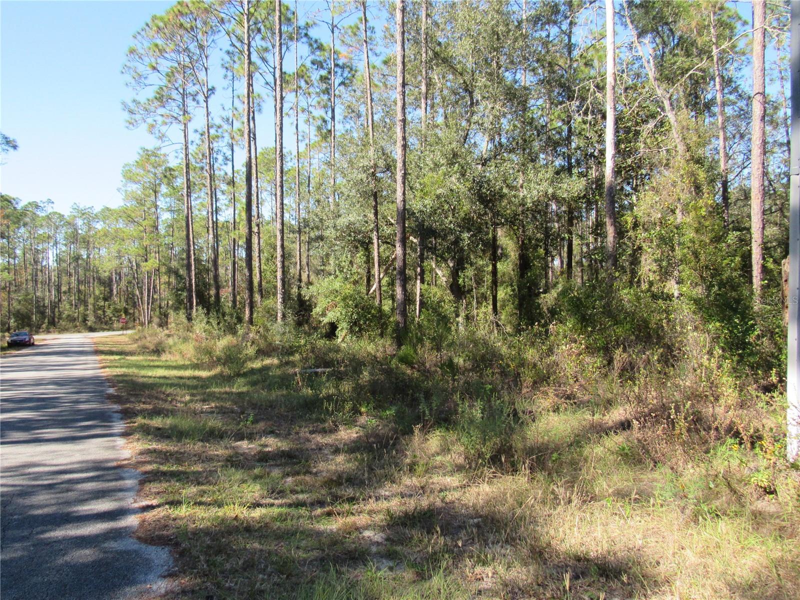Beautiful One-Acre (.99) New Construction Build Site Available In Lovely Rainbow Lakes Estates Community. Perfect Opportunity For You To Build Your Florida Dream Home Now Or Purchase and Hold. Rainbow Lakes Estates Is an Outdoorsman Paradise and Located On the Nature Coast of Florida Conveniently Located Within 20-40 Minutes Circle To Crystal River & The Gulf of Mexico, Inverness, Ocala & Gainesville For Extended Shopping, Dining & The Best of Entertainment! Rainbow Lakes Estates Where This Property Is Located Is an Established Popular Community With New and Existing Homes and Vacant Land Sites For New Construction and Is Just Minutes To Historic Dunnellon, Our Local Town Square Built Around The Famous Rainbow and Withlacoochee Rivers Plus; In Just Minutes, Cast a Line on Lake Rousseau, Popular Fishing Capitol For The Large-Mouth Bass! This Property is just a few minutes Drive To The Award Winning Rainbow Springs State Park Where the Famous Rainbow River Begins, Providing Swimming, Snorkeling, Kayaking, Nature Trails, Canoeing + More..Also Centrally Located To Halpata Tastanaki Nature Preserve and The Goethe State Forest Plus Just 25 Minutes To The New World Equestrian Center Located In Ocala, FL. Hike the Many Fabulous Trail-Heads Of The Magnificent Florida Greenway that Runs Right Through Dunnellon!! Private Boat Ramp Available For Rainbow Lakes Estates Residents on Tiger Lake + Paved Roads, R-1 Site Built Homes, No HOA Fee. Call Now and Secure This Beautiful One-Acre (.99) New Build Site For Your Florida Dream Home In This Amazing Slice Of Paradise In The Sunny Part of What We Call "Old Florida"!!
