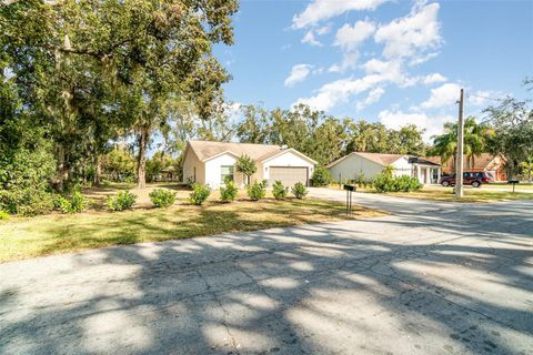 A home in MOUNT DORA