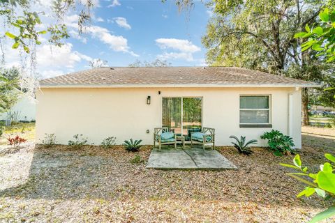 A home in MOUNT DORA