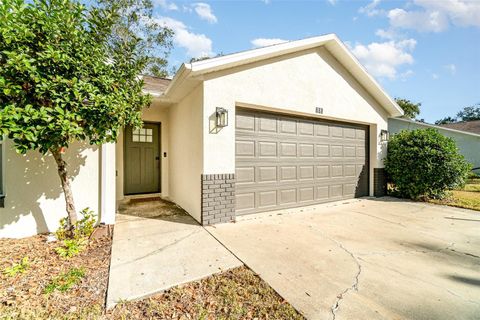 A home in MOUNT DORA