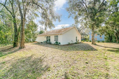 A home in MOUNT DORA