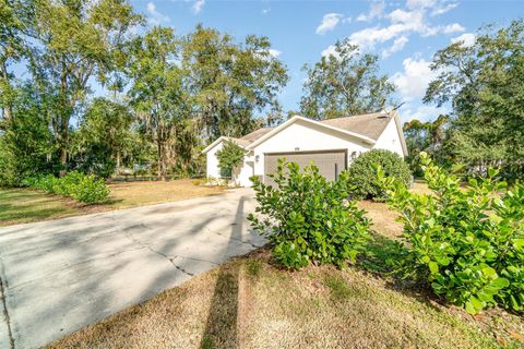 A home in MOUNT DORA