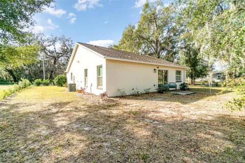 A home in MOUNT DORA