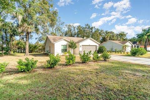 A home in MOUNT DORA