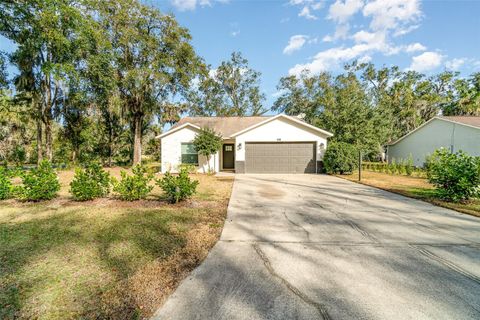 A home in MOUNT DORA