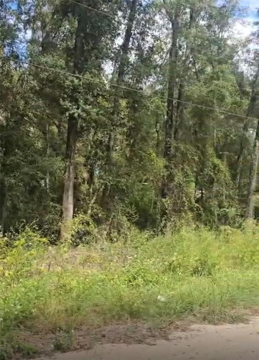 Build your dream home on this beautiful 0.92-acre lot in the desirable Rolling Ranch Estates—with no HOA fees! This spacious parcel offers the perfect combination of peaceful country living and modern convenience. Ideally nestled between Dunnellon and Ocala, you’ll enjoy easy access to shopping, dining, medical facilities, and a variety of outdoor activities. Spend your weekends kayaking, tubing, or swimming in the crystal-clear waters of the famous Rainbow River just minutes away. Experience the best of Marion County living—where tranquility meets convenience!