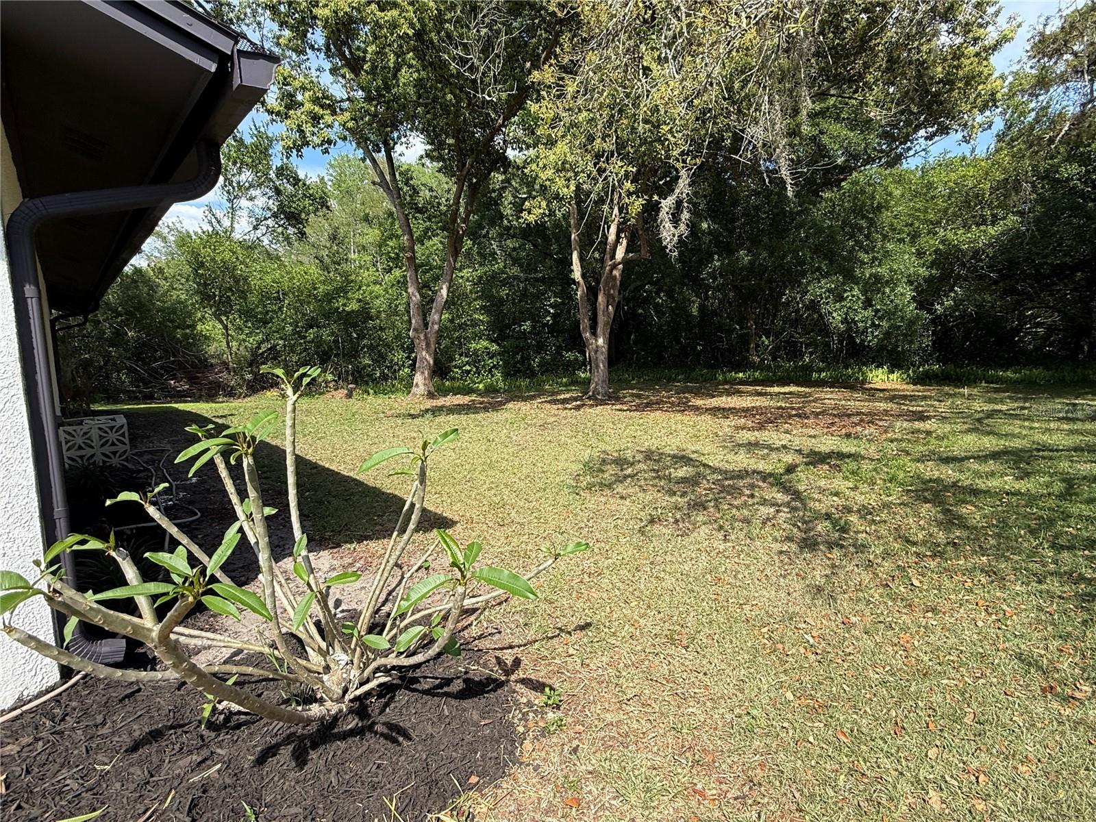 SAN CLEMENTE VILLAGE - Residential