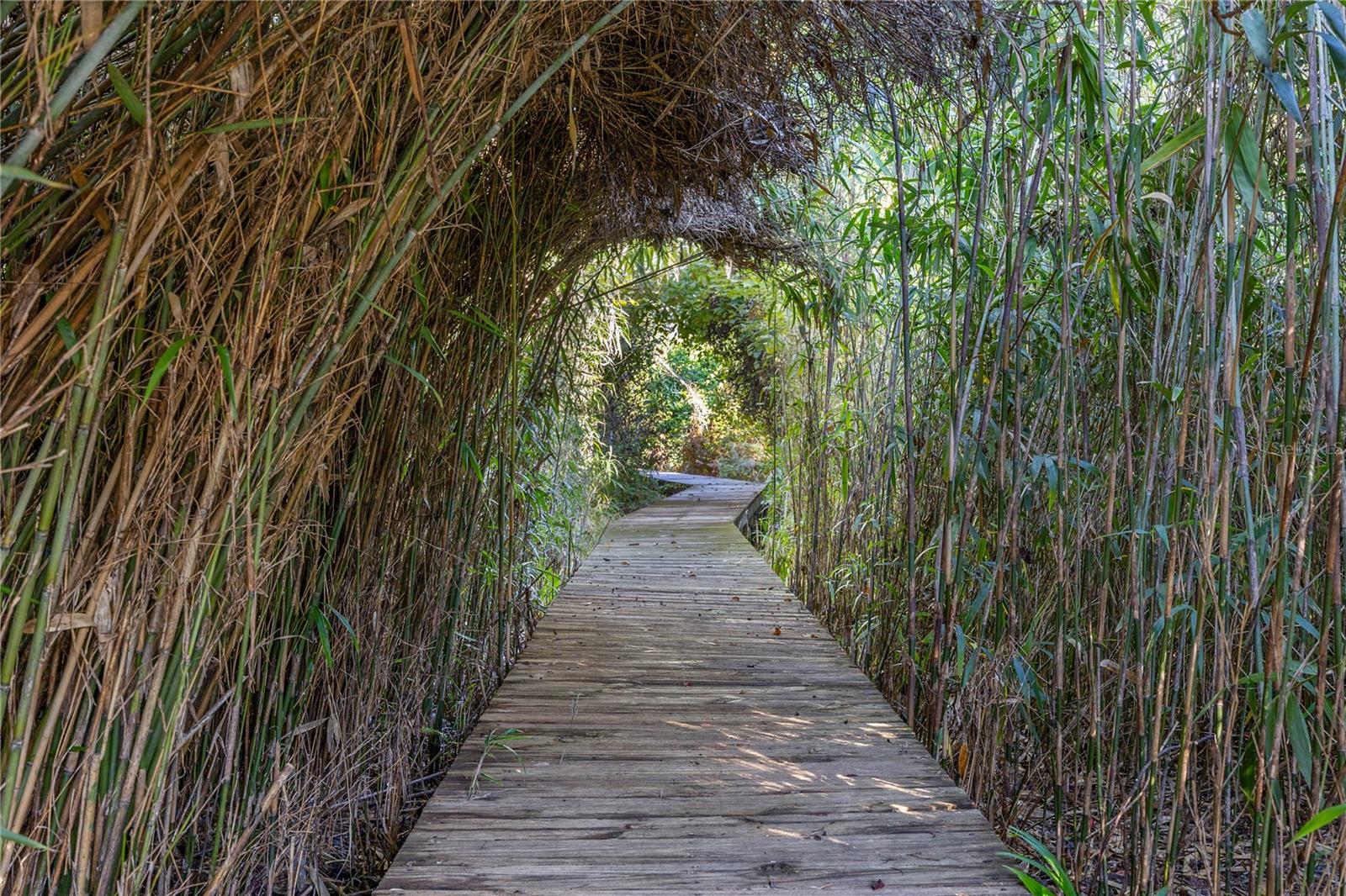 PARKWOOD ESTATE - Residential