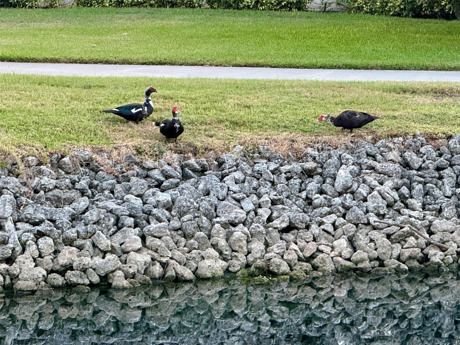 BEEKMAN LAKES - Residential