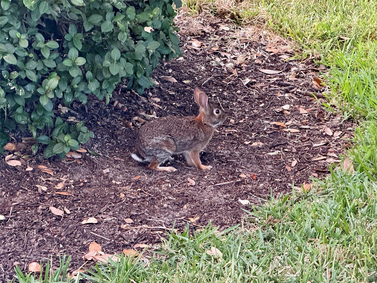 BEEKMAN LAKES - Residential