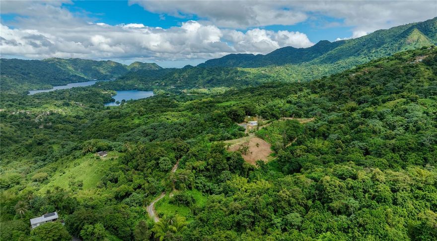 Discover an exceptional investment opportunity within the mountainous heart of Utuado. A prime parcel with unmatched income-generating potential, spanning 34 acres of lush land with a large variety of thriving crops and tropical vegetation. Experience unparalleled tranquility and nature-focused living overlooking scenic landscapes. Boasting two private water wells and multiple agricultural certifications, this versatile acreage with R-G zoning serves as the perfect canvas for the commercial or residential endeavor of your choosing. A 3-bed, 1-bath residence that can be expanded upon or converted into a work space is also included within the grounds of the property. Utuado is situated within the central mountain range of Puerto Rico, offering direct access to a variety of outdoor activities. Known for its incredible natural beauty, the area is home to the Caguana Indigenous Ceremonial Park, Rio Abajo State Forest and Tanama River National Forest. The region is also a favorite amongst coffee connoisseurs, featuring well-known haciendas such as Hacienda Horizonte and Hacienda Cafe Gran Batey. * Images 2 through 4 are outlined approximations of the property.