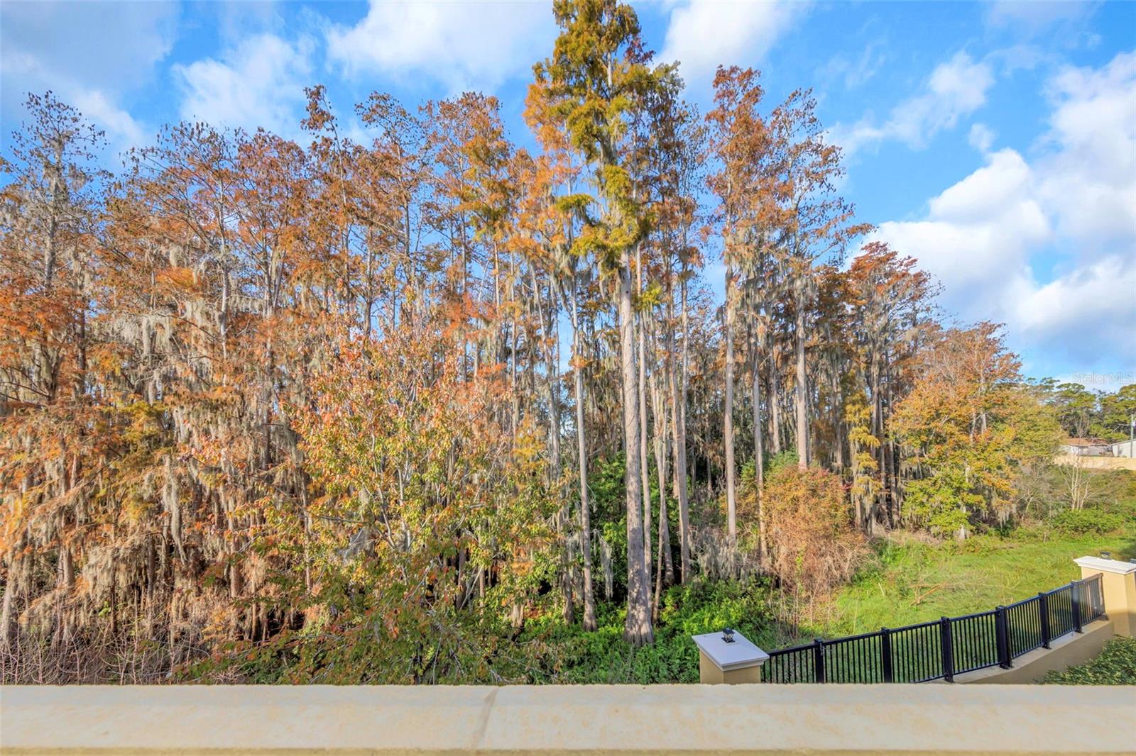 CYPRESS TRAILS TWNHMS OF TARPON SPGS - Residential