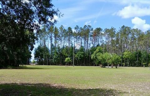 Tiny photo for 17749 SE 156th Place Road, Weirsdale, FL 32195 (MLS # N6144440)