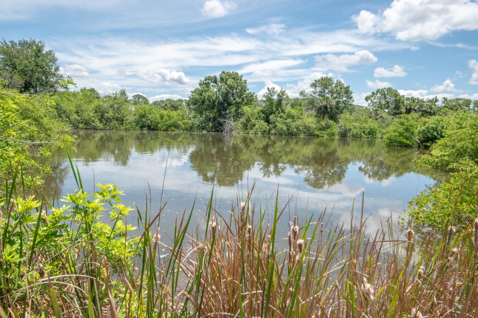 EDGEWATER VILLAGE UNIT 1 - Land