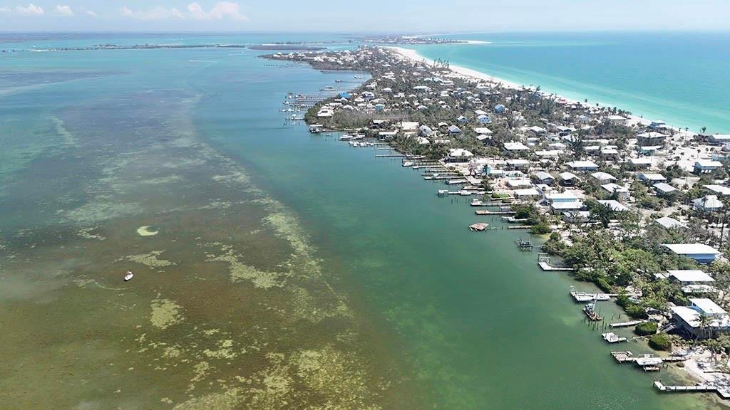 BANYAN BAYOU CONDO - Land