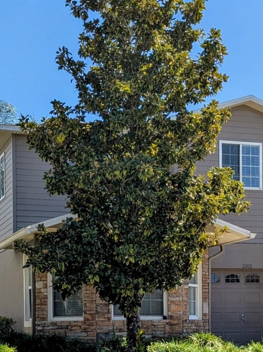 Photo of 2203 Chatham Place, Orlando, FL 32824 (MLS # O6435544)