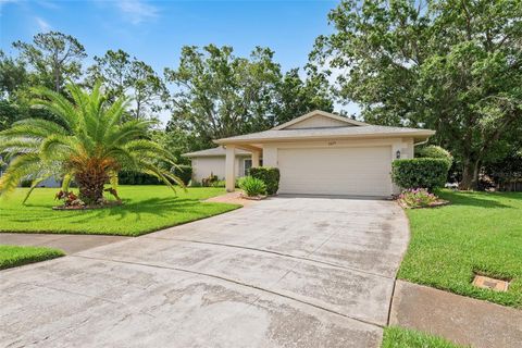 2875 LOMOND DRIVE PALM HARBOR FL 34684