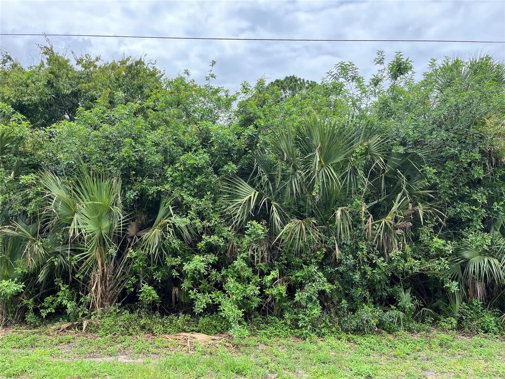 Photo of 160 Mcarthur Boulevard, Lehigh Acres, FL 33974 (MLS # A4658336)