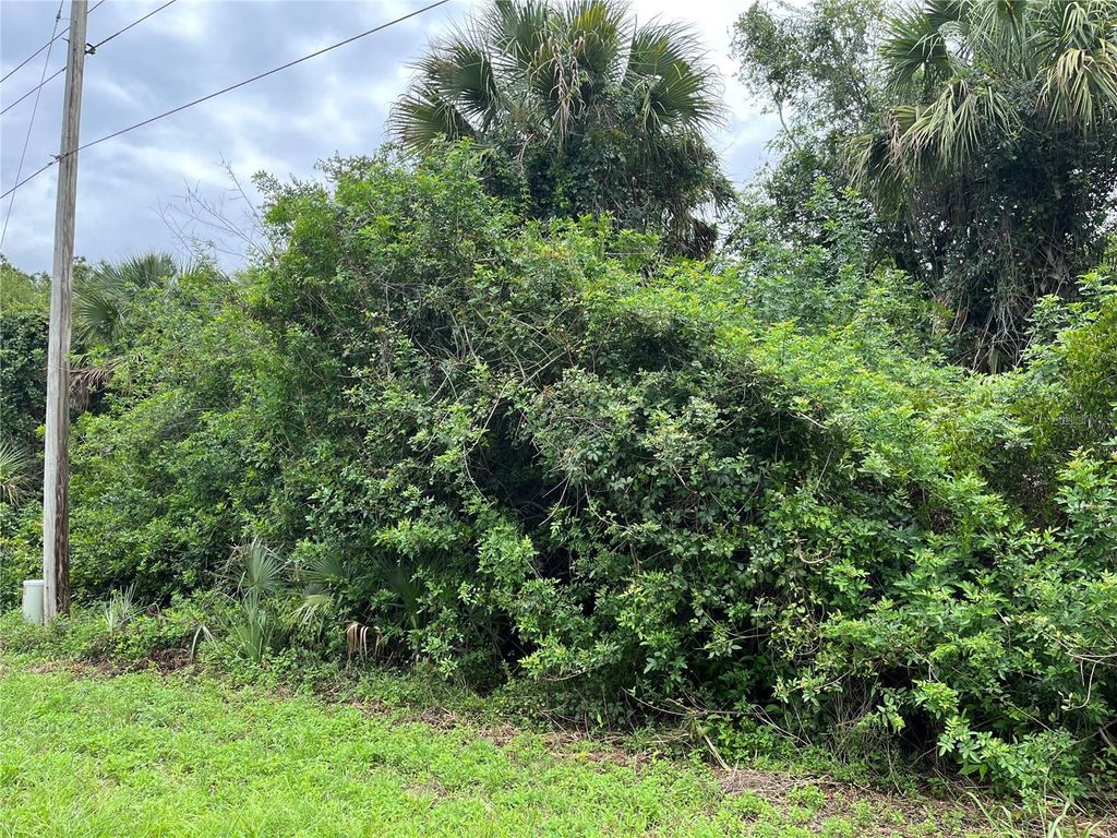 Photo of 160 Mcarthur Boulevard, Lehigh Acres, FL 33974 (MLS # A4658336)