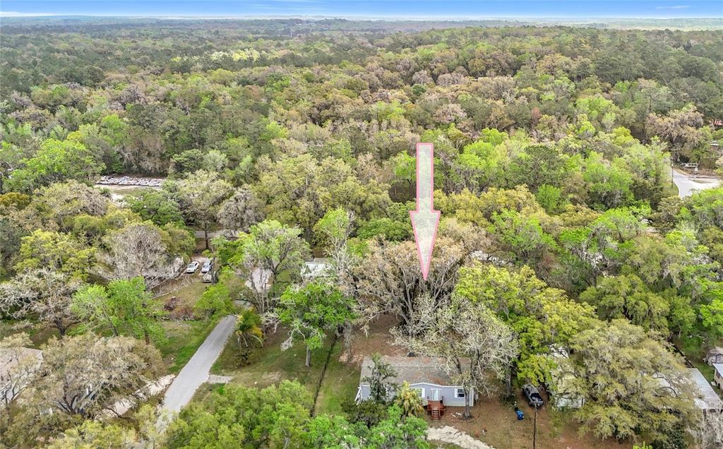 Photo of 7158 Sunnyside Drive, Brooksville, FL 34601 (MLS # TB8484332)