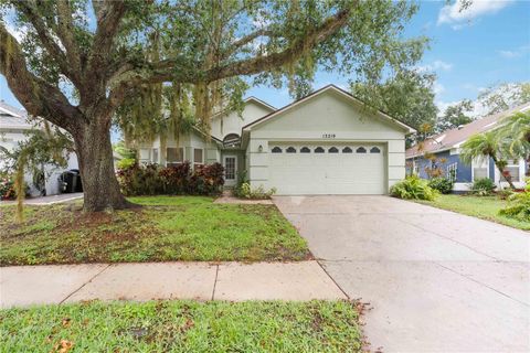 13219 MEADOWLARK LANE ORLANDO FL 32828