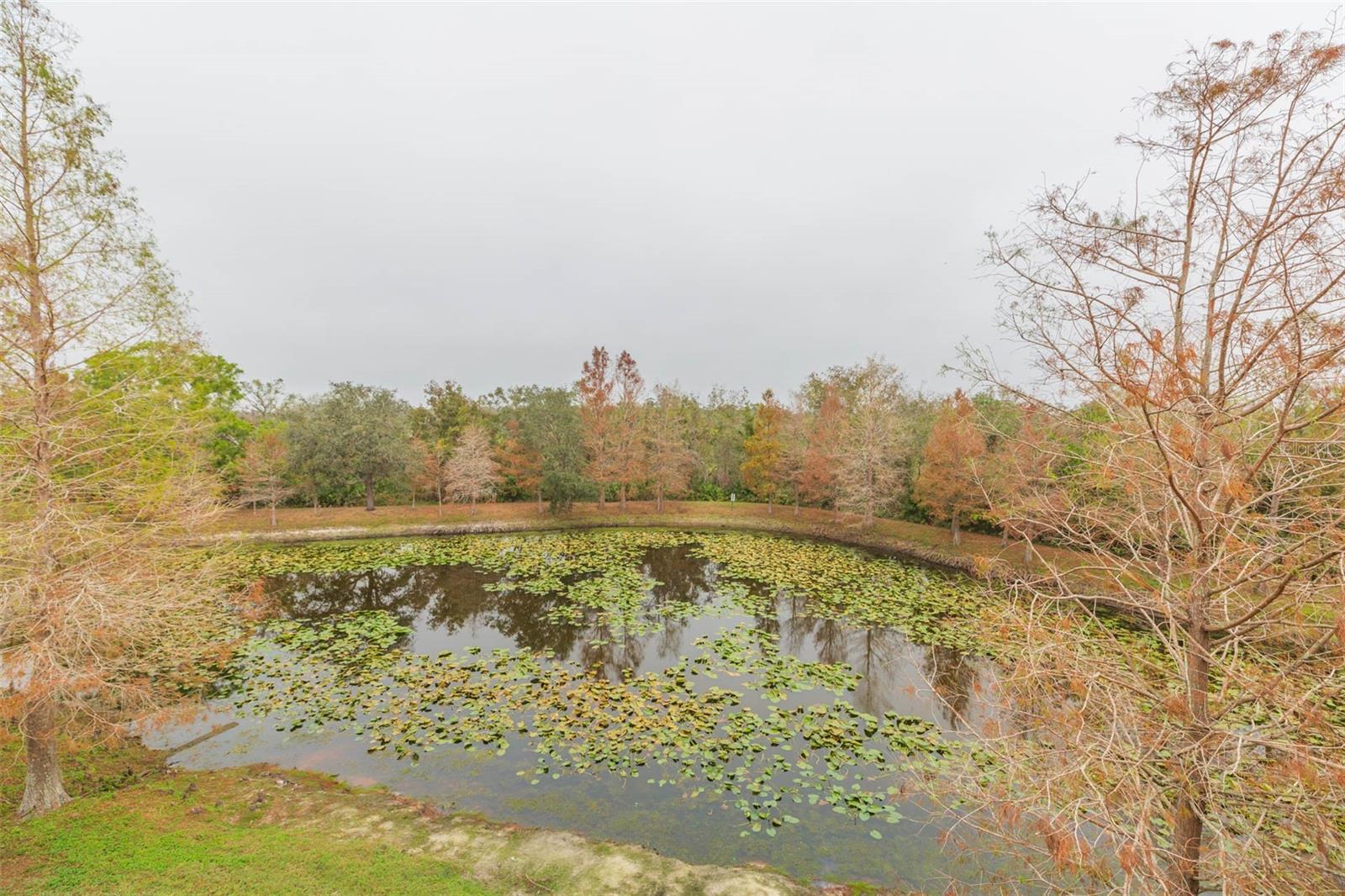 WILLOWBROOK PH 9 - Residential