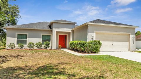 A home in KISSIMMEE