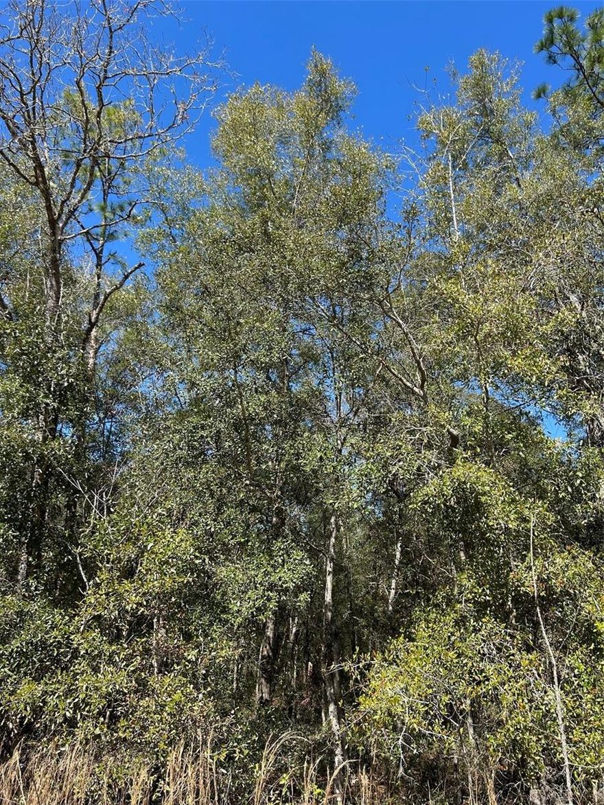 Peace and Tranquility can be yours on this 1.24 acre buildable lot in Ocala.  The lot features mature trees and is close to many ammenities.The Rainbow Springs State Park and river access is just a few miles away with swimming, tubing, kayaying and nature trails.  The World Equestrian Center is a short drive and Ocala is 20 miles, Gainesville one hour drive and Crystal River about 45 minutes drive.  Dunnellon is 15 minutes shopping, restaurants and medical services.