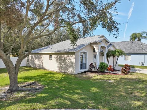 A home in TAMPA