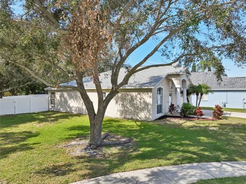 A home in TAMPA