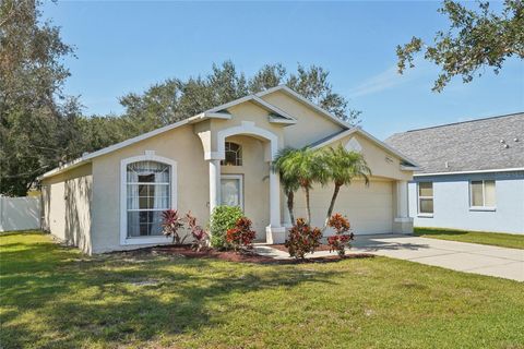 A home in TAMPA