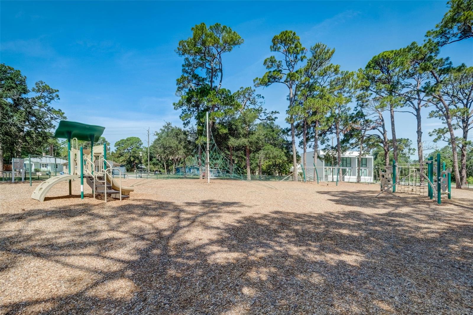 SHANANDOAH PARK - Residential Income