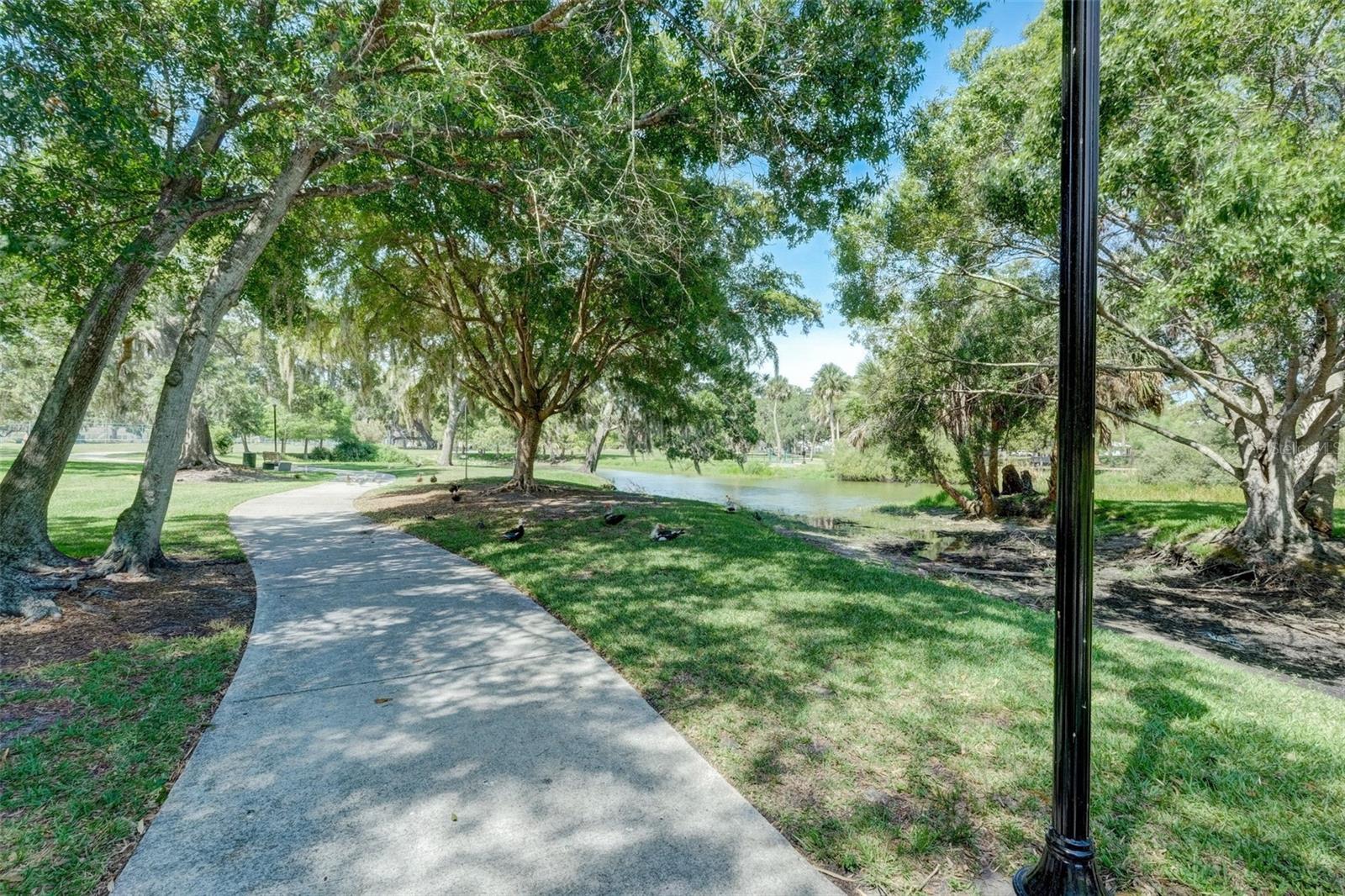 SHANANDOAH PARK - Residential Income