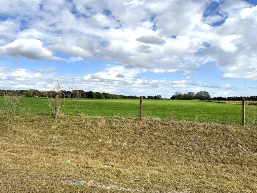 Discover the possibilities with this beautiful 67-acre property nestled in the heart of Wildwood. A prime location at the intersection of CR 228 and CR 229, just moments from I-75 interchange, this parcel offers unparalleled convenience.