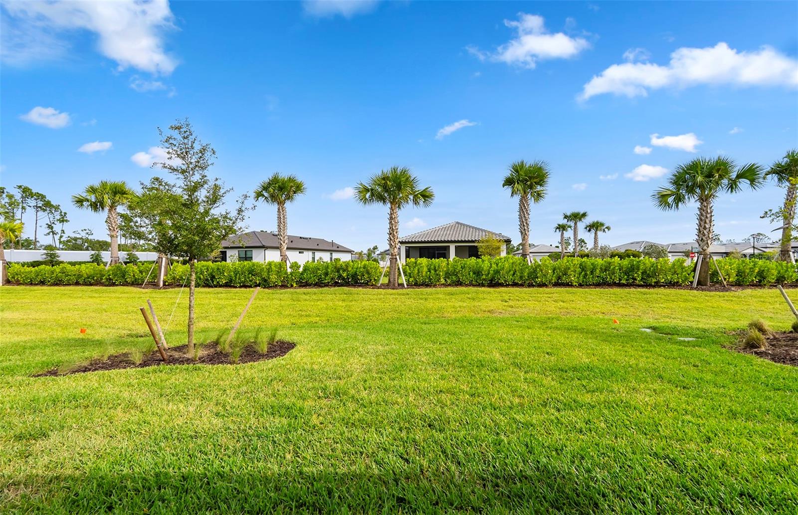 ARBOR OAKS AT THE WOODLANDS - Residential