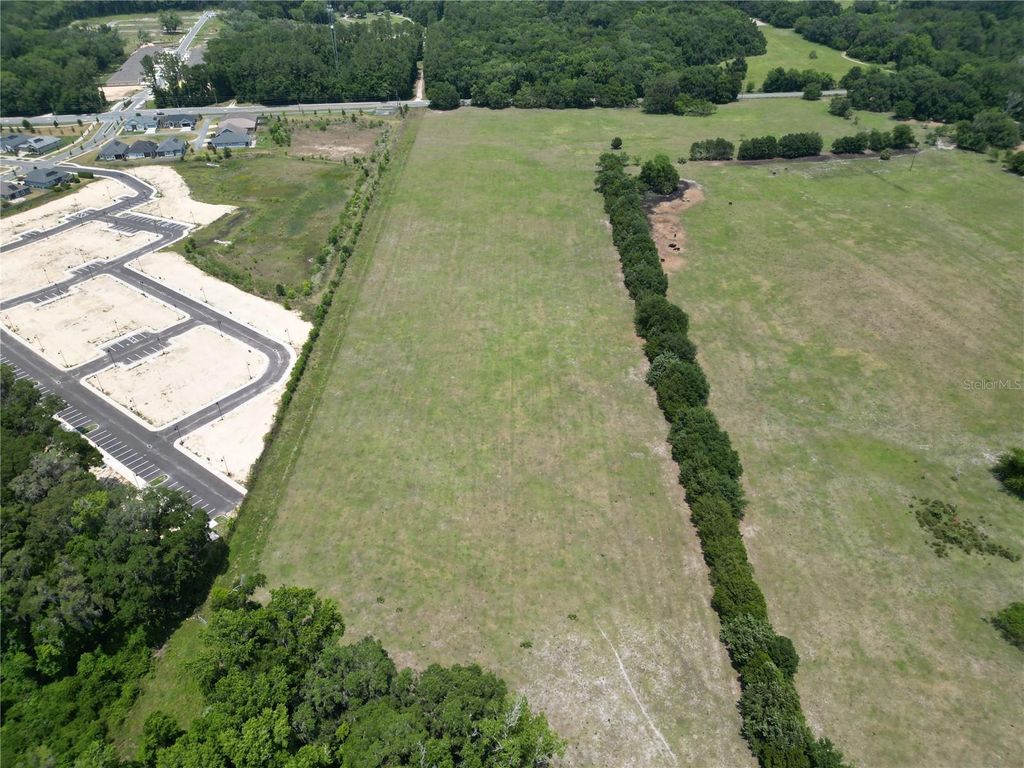 Photo of 24 SW 62nd Avenue, Gainesville, FL 32608 (MLS # O6353637)