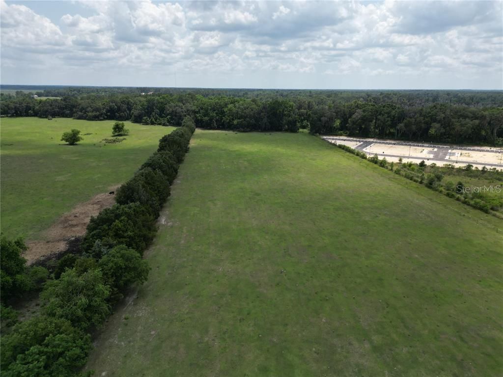 Photo of 24 SW 62nd Avenue, Gainesville, FL 32608 (MLS # O6353637)