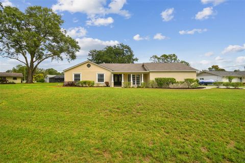 3130 LAKE SAXON DRIVE LAND O LAKES FL 34639