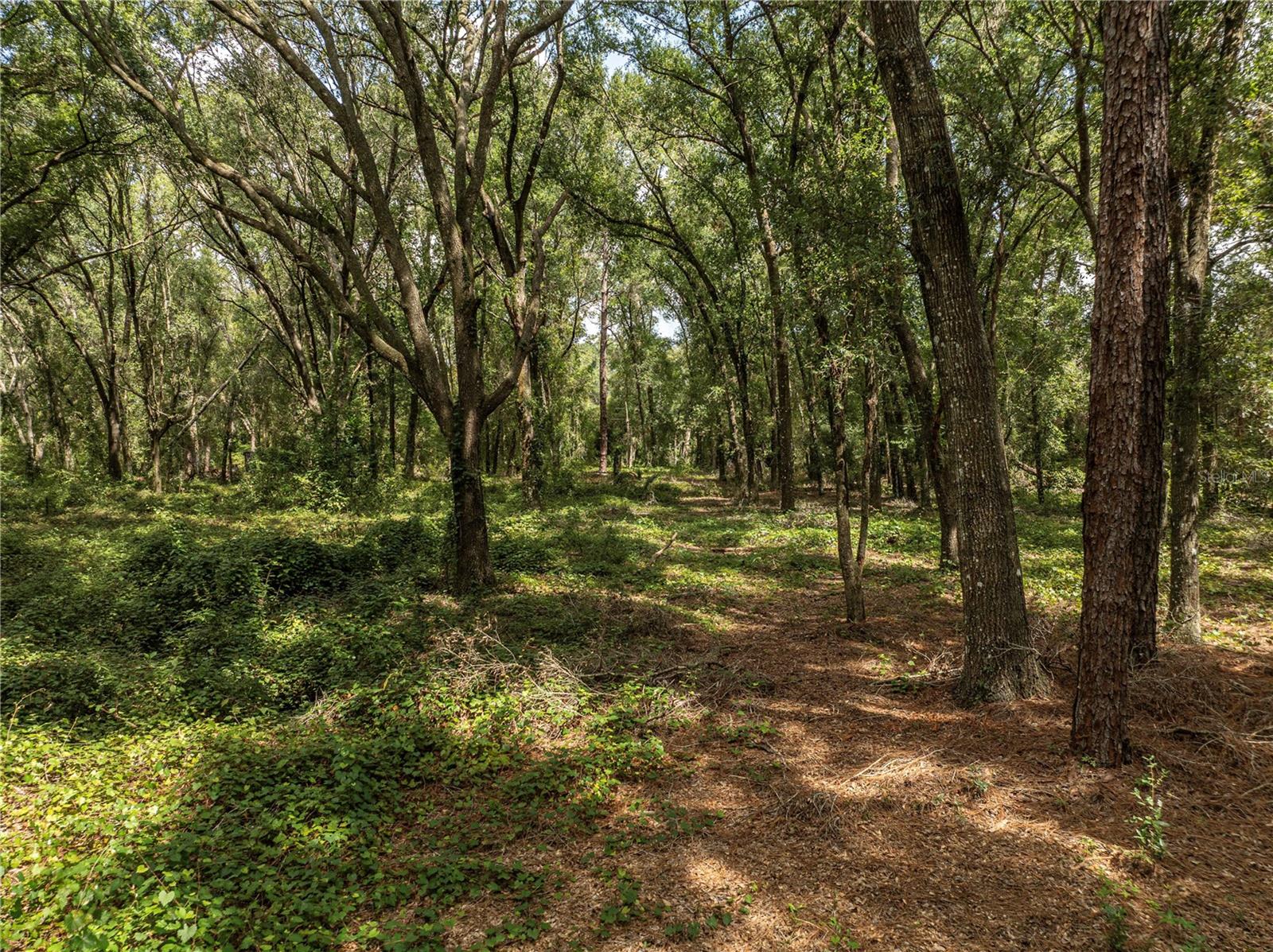 OAKDALE SUB - Residential