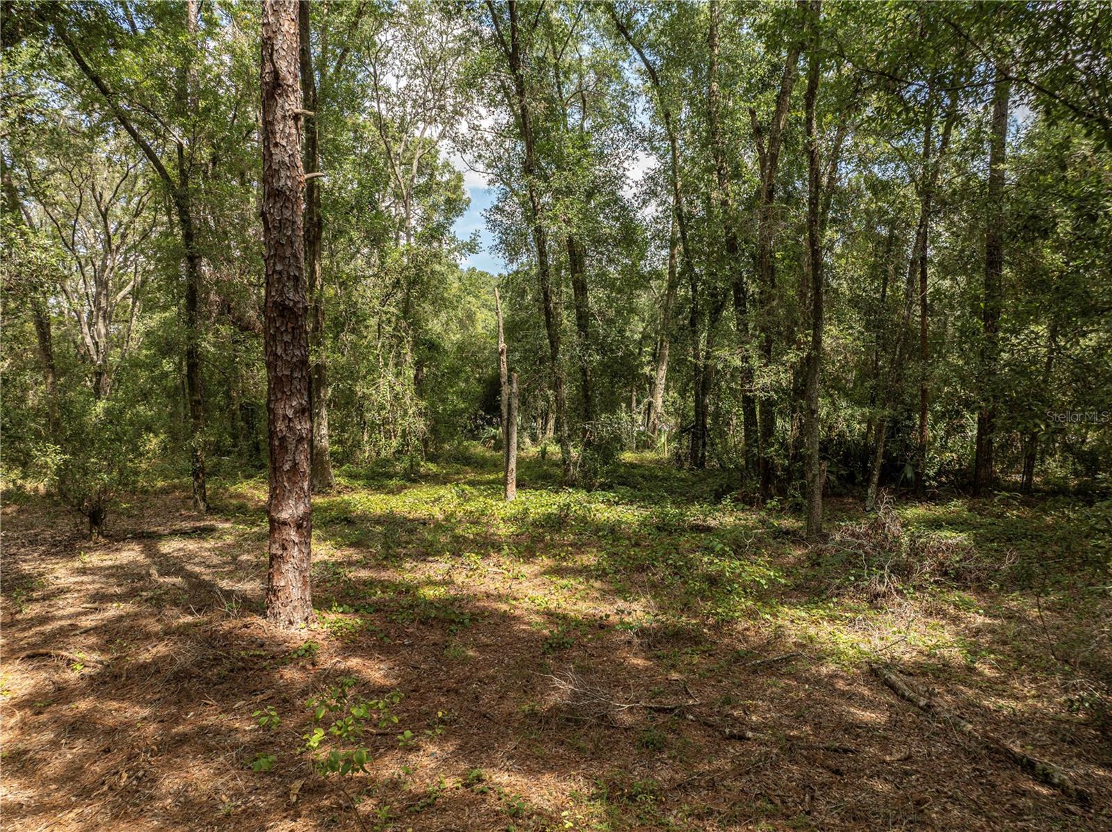 OAKDALE SUB - Residential