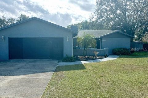 Photo of 3857 Dovehollow Drive, Lakeland, FL 33812 (MLS # O6390862)