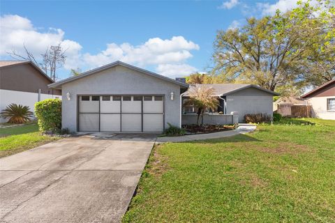 Photo of 3857 Dovehollow Drive, Lakeland, FL 33812 (MLS # O6390862)