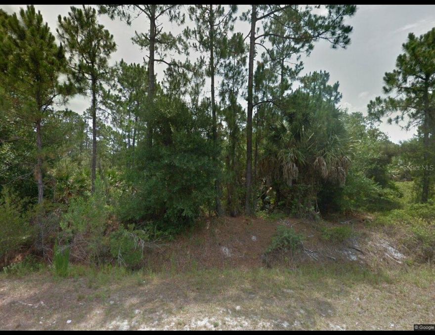 1 acres + residential lot for sale. High and dry, build your new home with over acres lot. City of Clewiston in Hendry county.
