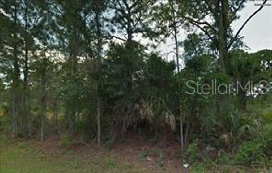Great location lot in a growing community, perfect to build your next home.Lotof  privacy and  extra space for a detached garage or storage. This lots are in an excellent location, close to shopping, schools, hospitals and highways!