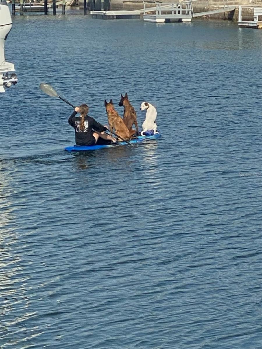 SIGNAL COVE - Residential