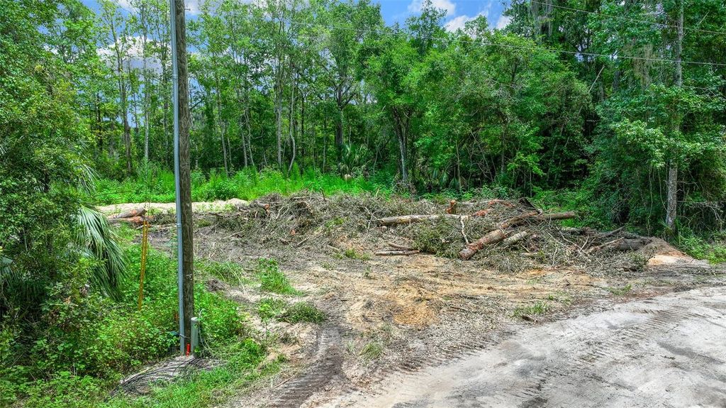 Photo of 16535 SE 100th Place, Ocklawaha, FL 32179 (MLS # G5084547)