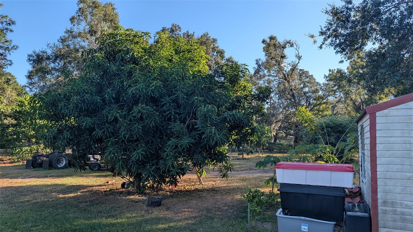 UNPLATTED - Residential